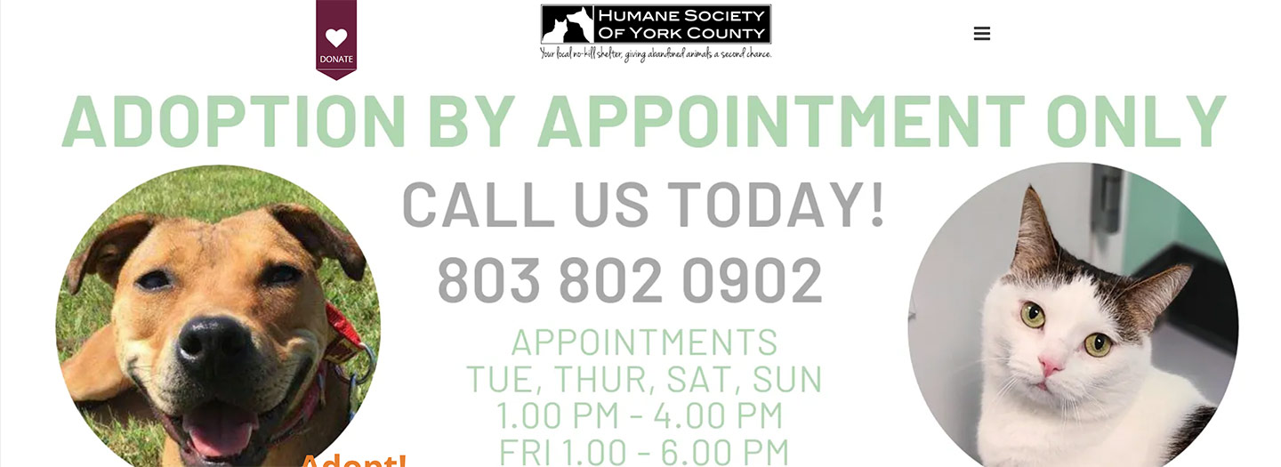 York shop humane society