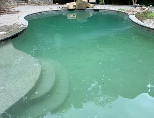 Phosphates in Pools: The Hidden Food Source for Algae
