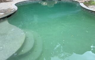 pool with high phosphate reading