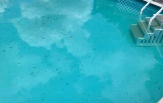 adding a flocculant can help to make small particles big enough to drop to the pool floor.