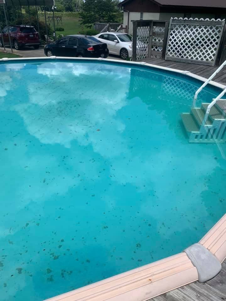How to Clear a Green Pool